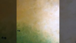 мокрый шелк декоративная штукатурка венецианская шту