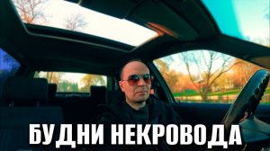 ПЕРЕКУПСКИЙ ПОКРАС Плохой запуск и Переобувка: Баклажан в новом свете