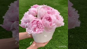 02-06-2025 ЛВЕ