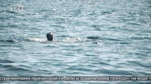 Ролик 1 правила безопасного поведения на воде