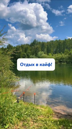 Артикул на WB #234627478 Ozon #1641932840 эти салфетки - быстро избавляют от свежих пятен🫧