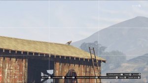 Фотоохота в GTA Online | Где найти Баклана, Ястреба и Ворона