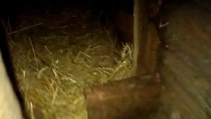 Наше не большое хозяйство)