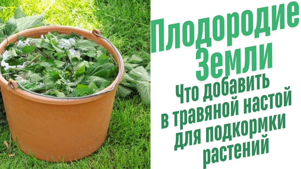 Что добавить в травяной настой?
