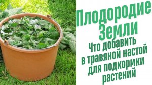 Что добавить в травяной настой?