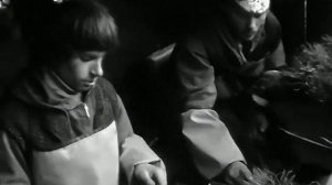 1979 год. Тюменская область. Высадка лесополос