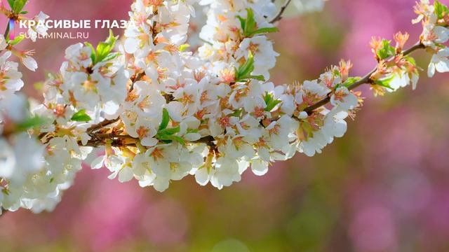 КРАСИВЫЕ ГЛАЗА*Скрытые Аффирмации*Саблиминал