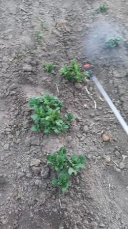 Как работает аккумуляторный опрыскиватель