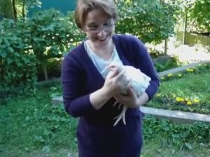 Куры Бройлеры Хаббард 41 день.