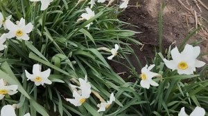 Жду от зрителей отдачу в виде лайков и подписок.