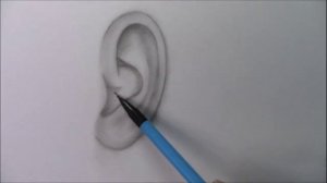 Как нарисовать человеческое ухо карандашом