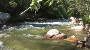 Урсул - Катунь 2018