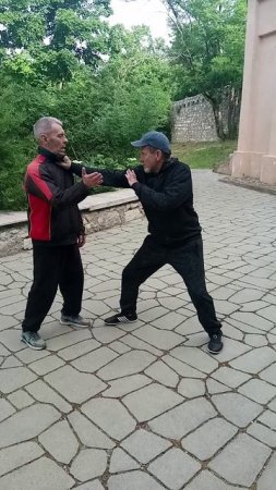 Тайцзи Циньна.