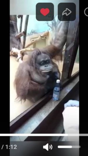 В зоопарке в Ижевске с водой «dimmel»! Сюжет клиента нашей компании Альмиры Х.