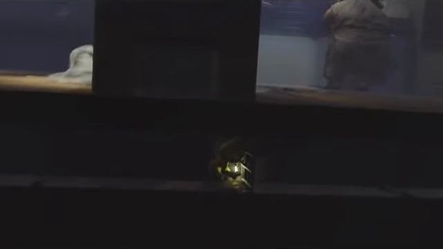 помещение с автоматической мясорубкой для обработки мяса, мусорный отсек, посудомоечная на корабле смотреть онлайн