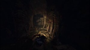 Shadow of the Tomb Raider - СКЛЕП КУВАК-ЯКУ  #14