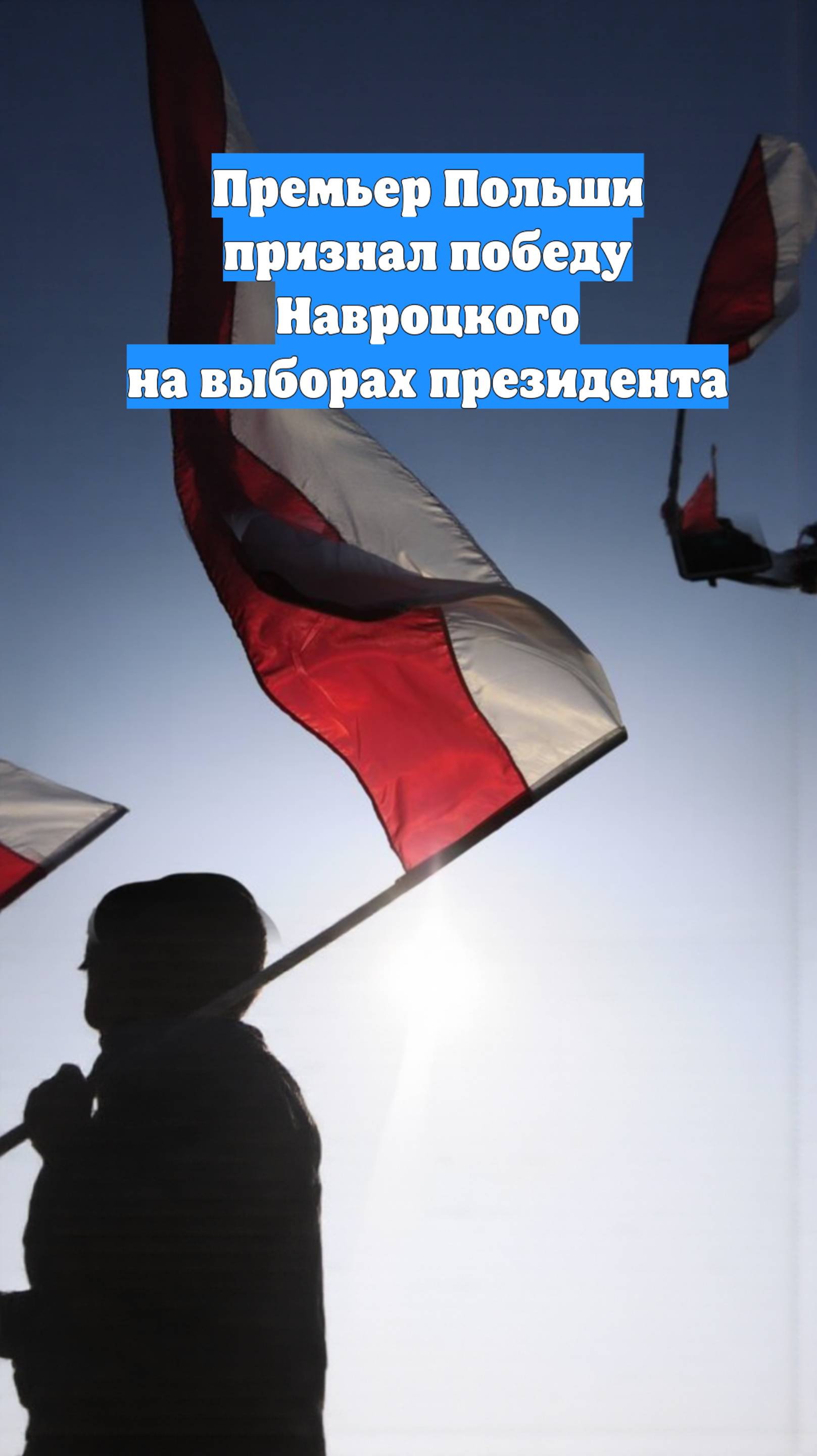 Премьер Польши признал победу Навроцкого на выборах президента