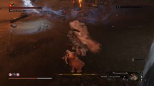 Sekiro  Сын выше отца