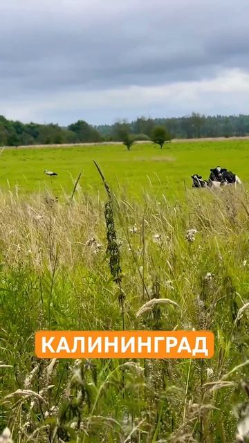 Самая западная часть России! Невероятно красивые мест смотреть онлайн