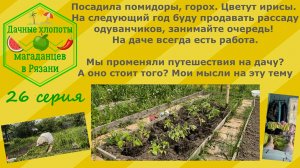 Посадила помидоры, горох. Занимайте очередь на одуванчики! Променяли ли мы путешествия на дачу?