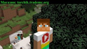 Мой ДОНАТ-МАГАЗИН на Моем Сервере! TorchikWorld