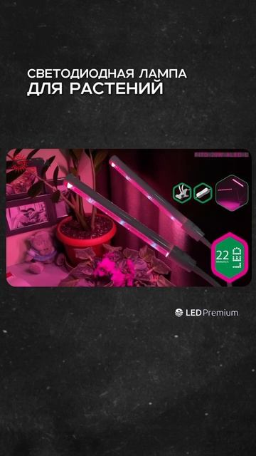 🌸 Весна – время, когда ваши растения требуют особого смотреть онлайн