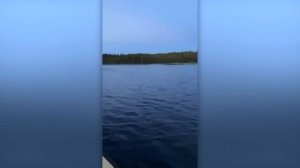 70 НЕВЕРОЯТНЫХ СЛУЧАЕВ НА РЫБАЛКЕ, СНЯТЫХ НА КАМЕРУ