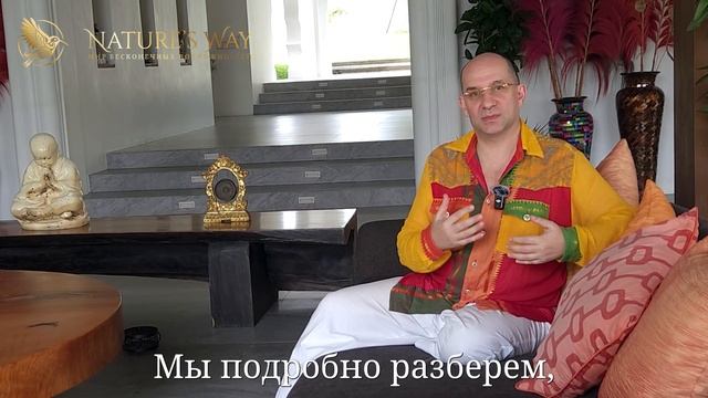 Планы на 5 неделю 2025 :: Сатья Ео'Тхан смотреть онлайн