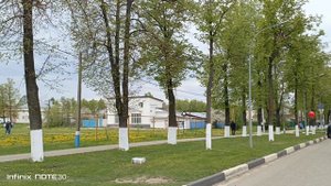 Шествие колонны на День победы 2025