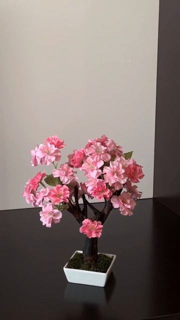 #сакура на заказ #бонсай #интерьер #озеленение #дом #ве? смотреть онлайн