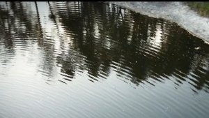 Купание 1 октября 23