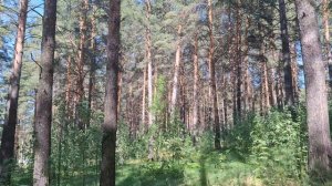 девочки  пошлите погуляем