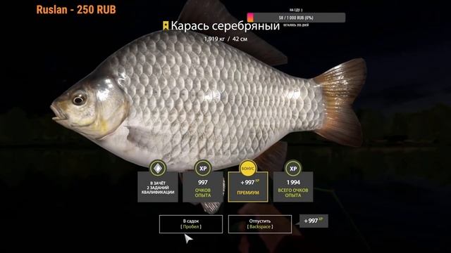 РУССКАЯ РЫБАЛКА 4 ТРОФ КАРАСЬ ЯНТАРКА смотреть онлайн