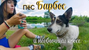 ПЁС БАРБОС // ОДА НАШЕМУ ПОПУТЧИКУ С ХВОСТОМ // ПРОГУЛКА ОТ ПОЛЯНЫ ИМЕНИ ГРУШИНА ДО ФЕДОРОВКИ