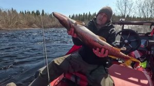 Рыбалка на Кольском в мае 2024 ,Кица и Тунтсайоки