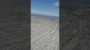 Самолет в Новосибирск. Аэропорт Толмачево