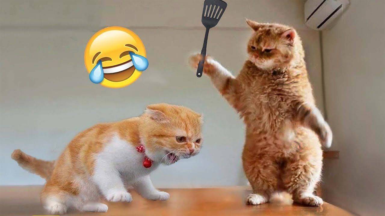 ПОДБОРКА САМЫХ СМЕШНЫХ ФЕЙЛОВ #11