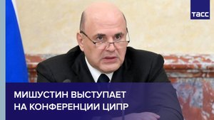 Мишустин выступает на конференции ЦИПР