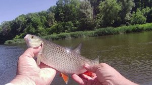 ОТКРЫТИЕ ЛЕТНЕЙ РЫБАЛКИ 2025. РЫБАЛКА СПЛАВОМ ПО РЕКЕ.