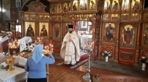 3 июня празднество Владимирской иконы Божией Матери, проповедь протоиерея Анатолия Балясина.