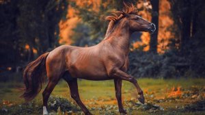 ИИ и крах Американских Технологических Гигантов