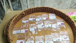 ЛУЧШИЕ Сорта Петунии для Шикарного Цветения