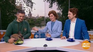 Андрей Вдовитченко и кролик Шарфик. Доброе утро. Фрагмент выпуска от 03.06.2025