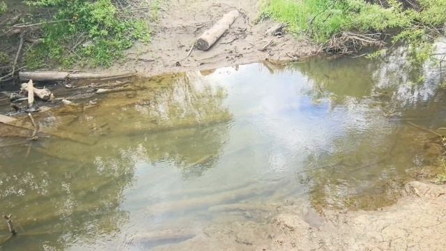 Заблудились в тайге на Патруле. Махнули 10 км не туда.Это не гряземес, просто милое видео.