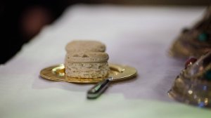 Литургия. Владимирской иконы Божией Матери