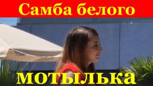 Песня Самба белого мотылька Песни о любви про любовь