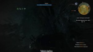 Берег погибших кораблей. Ведьмак 3: Дикая охота (The Witcher