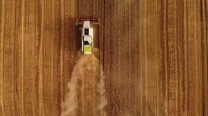 Лето Ах лето 1