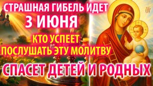 ГИБЕЛЬ ИДЕТ СТРАШНАЯ 3 июня УСПЕЙ СПАСТИ ДЕТЕЙ И РОД Молитва Богородице Путивльская Православие