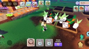 ГАЙД НА ФЛОРУ [Horse Life]